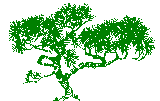 Small green logo